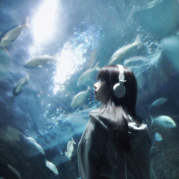 ʚ🎤ɞ