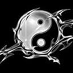 Yin & Yang Productions