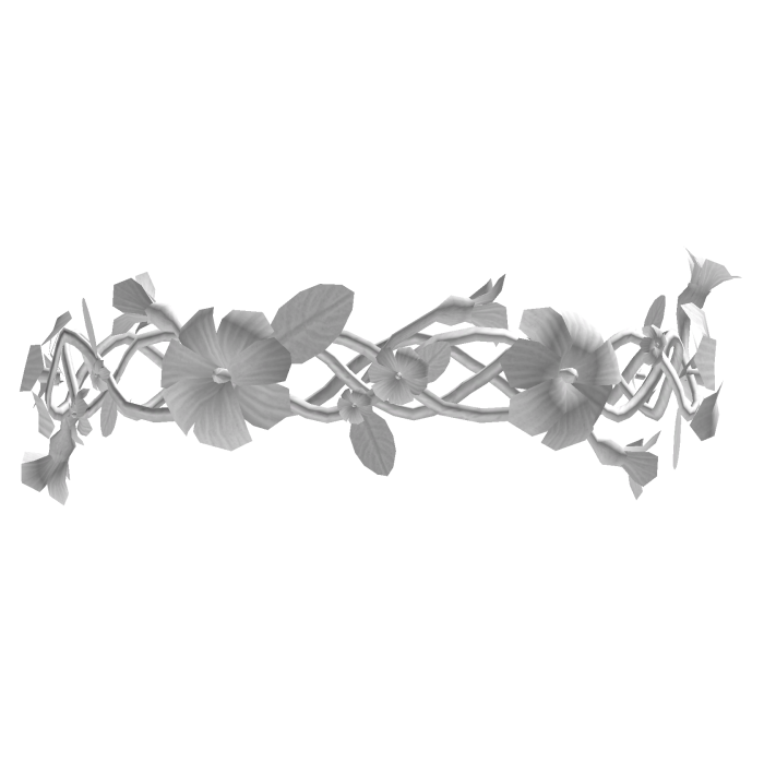 White Flower Crown Tiara