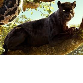 Black Panther Model Testing