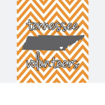 Vols Fan Group