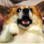 join plz i stink