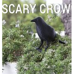 Crow's spooky hangout!!!!!!!!