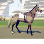 |~|Sliver Rain Riding Academy|~|