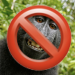 Anti-Monke Republic