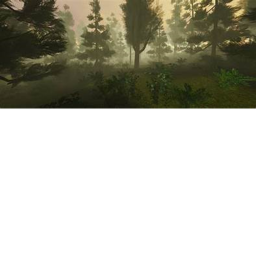 Realistic Forest: Showcase