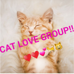 CAT ##### GROUP!!!!!