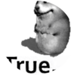 Truemik...