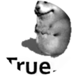 Truemik...