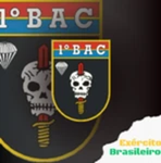 I| Batalhão de Ações de Comandos I|