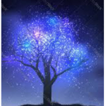Magical believers