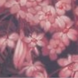 🌸