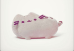 Pusheen Fans !