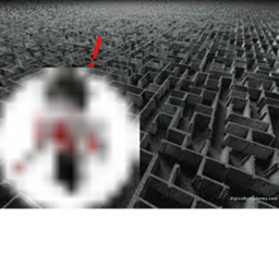 the jeff maze