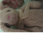 Ellie Bunny