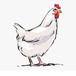 The Chicken Crue