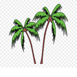 Jungle Obby