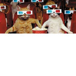 Cat theatre