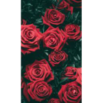..Itzprincesszyy..