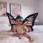 Butterfly Den