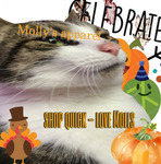 Molly's Apparel