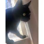 Ggbffcoco12