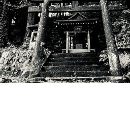OMI’s SHRINE