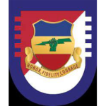 5th Squadron 73rd Cav Reg.