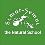 Ant-Ant Official