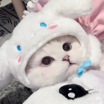 Cinnamoroll Kingdom