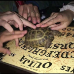 elenita grupo oficial <3