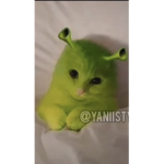 mi pana shrek