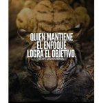 MX | Cartel Del Diablo
