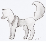 Wolf Warrior Fashion