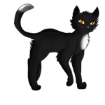 {Warrior Cats Group}