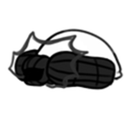 Fangs of Asakura