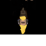 Adam w
