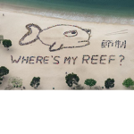 Where is me reef?