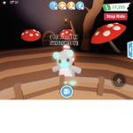 Koala Plays!!