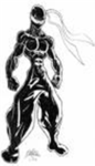 elite water ninja