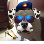 Bulldogs people