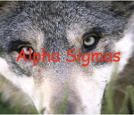A Sus Among Us Group