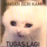 KoKaySQUAD