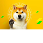 Doge Sqaud power of the dogs