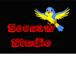 Seesaw Studio