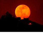 firemoon studios