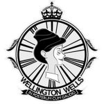 The Government Of Wellington Wells