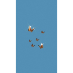 Unknow Butterfly Army
