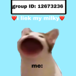 DevTier fan group