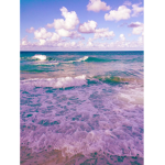 Aesthetic Ocean Group